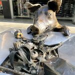 Photo taken by Rosemary S