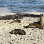 Photo taken by Jason C