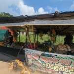 Photo taken by Randall C