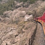 Photo taken by Ana W