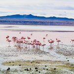 Photo taken by Collins M