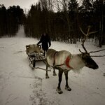 Photo taken by Andrew S