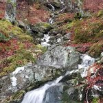 Photo taken by Graham H