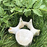 Photo taken by Annie T