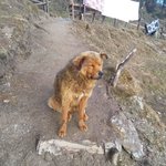 Photo taken by Jillian G