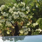 Photo taken by William R