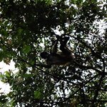 Photo taken by Cheryl W