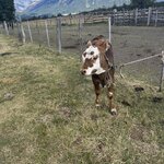 Photo taken by Kathy .