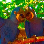 Photo taken by Dennis H