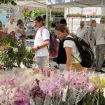 Photo taken by Martin D