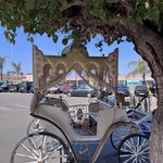 Photo taken by Tony F