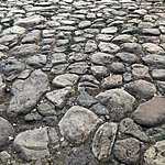 Photo taken by Linda M