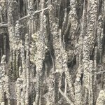 Photo taken by Rosemary S