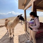 Photo taken by Shanthi V