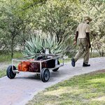 Photo taken by Peter L