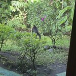 Photo taken by Barb S