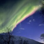 Photo taken by Tracy K