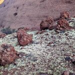 Photo taken by Judy H