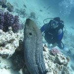 Photo taken by Diego B