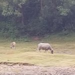 Photo taken by marianne d