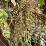 Photo taken by Ben B