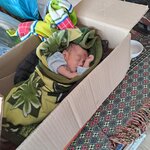 Photo taken by Tony W