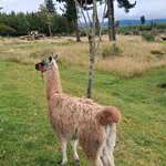 Photo taken by Elise C