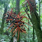 Photo taken by Weston L