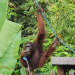 Photo taken by Sabiha K