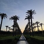 Photo taken by Mike K