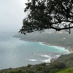 Photo taken by Cynthia S