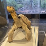 Photo taken by Nicole S