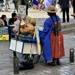 Photo taken by Mai S