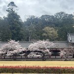 Photo taken by Kirti P