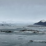 Photo taken by Andrew H