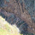 Photo taken by Kent P