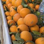 Photo taken by Shelley H