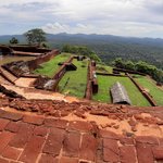 Photo taken by Dineia P