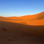 Photo taken by Tiffany M