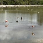 Photo taken by Nicole S