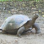 Photo taken by Lee B