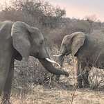 Photo taken by Janie W