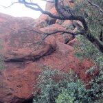 Photo taken by Judy H