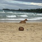 Photo taken by James B