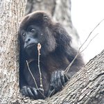 Photo taken by Graeme W