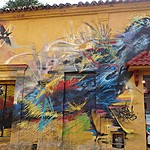 Photo taken by Janice B