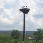 Photo taken by Rob S