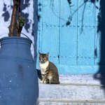 Photo taken by judy P