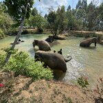 Photo taken by David W