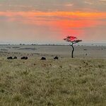 Photo taken by Julien C